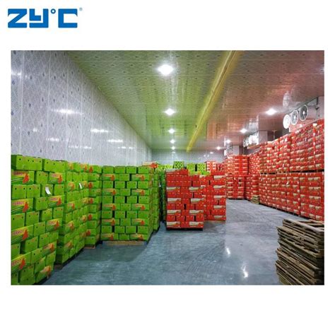 Zyc Walk In Cold Storage Room Warehouse Chiller For Carrot China