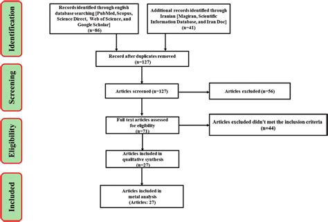 Flowchart Describing The Study Design Process Download Scientific