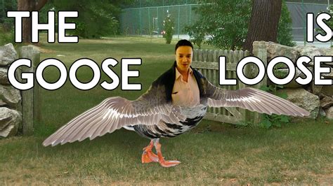 The Goose Is Loose Speedrunner Rwhitegoose Youtube