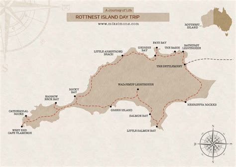 perfect  day trip  rottnest island  guide