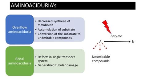 Aminoacidurias