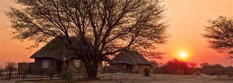 Grassland Safari Lodge Central Kalahari Game Reserve