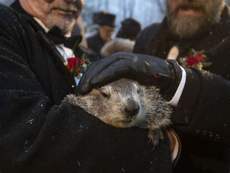 Pennsylvania groundhog declares early spring is on its way | MPR News