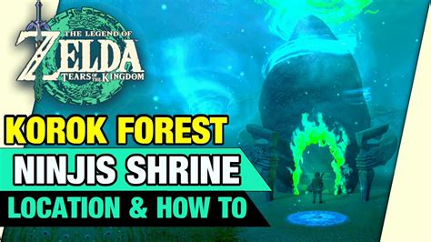 Ninjis Shrine Location How To Korok Forest Zelda Tears Of The