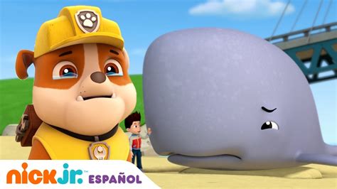 Paw Patrol Patrulla de cachorros Los cachorros salvan a una cría de