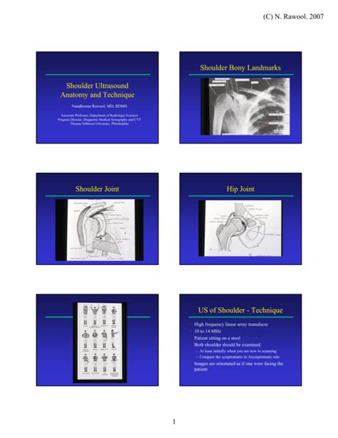 Shoulder Ultrasound Anatomy And Technique Shoulder Bony