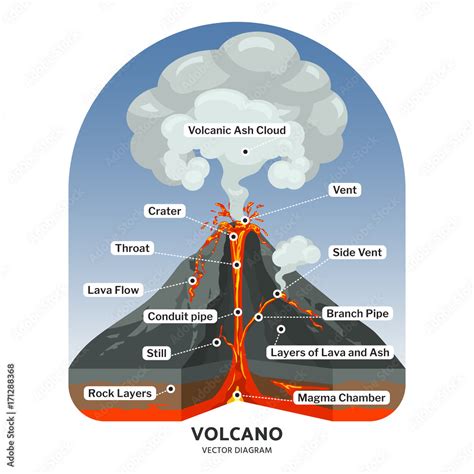 Volcano cross section with hot lava and volcanic ash cloud vector ...