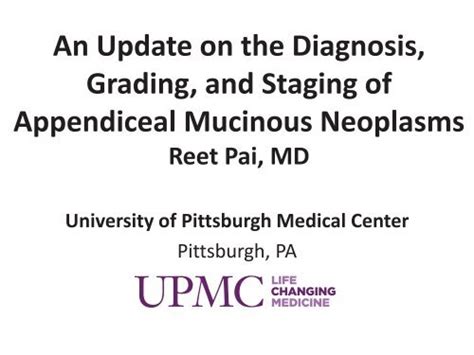 An Update On The Diagnosis Grading And Staging Of Appendiceal Mucinous