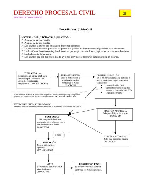 12 Esquema Juicio Oral