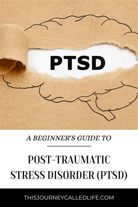 A Beginners Guide To Post Traumatic Stress Disorder PTSD