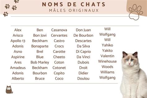 Quels Noms De Chat Sont Les Plus Populaires En France Off