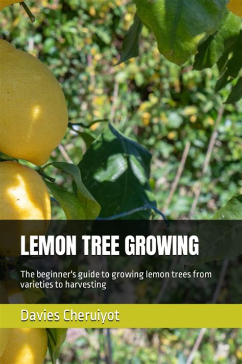 Lemon Tree Growing The Beginners Guide To Growing Lemon Trees From Varieties To Harvesting