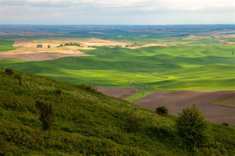 Aerial View Of Palouse Stock Photos, Pictures & Royalty-Free Images ...