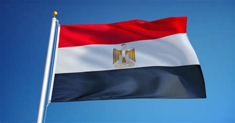 BREAKING Egypt Officially Heads The Arabic Network For Human Rights