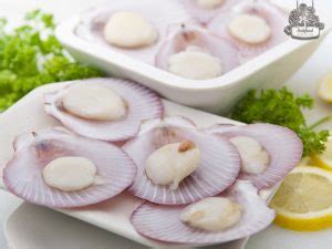 Frozen Hokkaido Scallop Sashimi Grade Kg Seafood Hamper