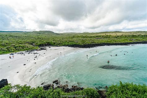 5 Best Beaches in San Cristobal, Galapagos: Where to Go