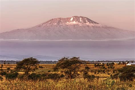 Mount Kilimanjaro Canvas Wall Art by Janet Fikar | iCanvas