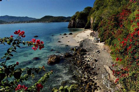 Tres escenarios naturales que solo encuentras en Bahía de Banderas La