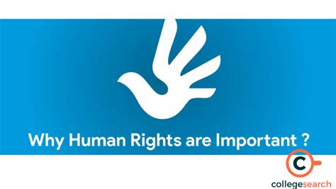 The Human Rights Law: Key Facts, Core Principles, IHRL, Enforced Laws ...