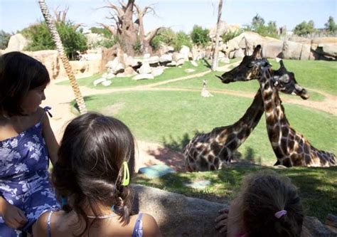 Visita Al Bioparc Un Viaje A La Selva Sin Salir De Valencia