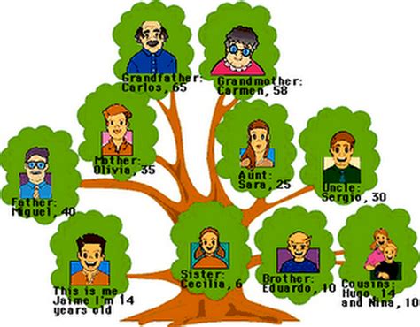 árbol De La Familia Dibujo De Arbol Genealogico Arbol Genealogico Dia De La Familia