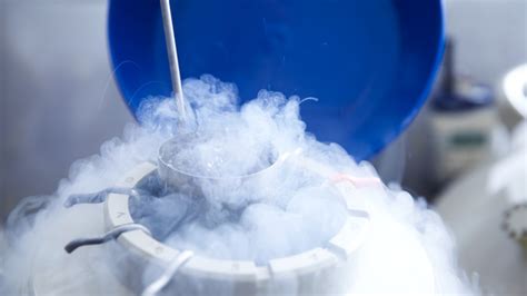 Debating The Pros And Cons Of Freezing Eggs PBS News