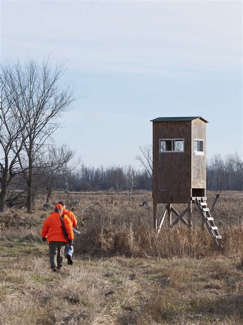 How Does a Lever Action Rifle Work? | Hunter-ed.com™