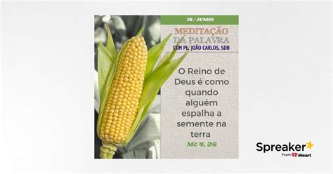 16 de junho de 2024 Meditação da Palavra do Senhor