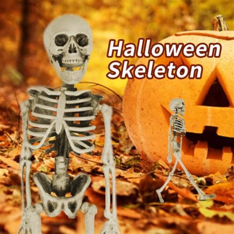 Skeleton Full Life Size Poseable Human Halloween Party Prop Haunted