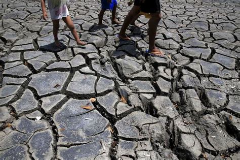 Cambio climático Un planeta en riesgo de colapso Planeta Futuro EL