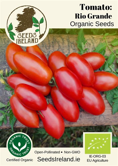 Rio Grande Heirloom Tomato Seeds Ireland Organic Vegetable Seed