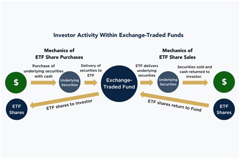 Why Are Etfs Better Than Mutual Funds Segment Wealth Management