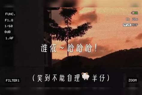 关于谁依哥～ Cv羊仔 Cv景向谁依 搞笑