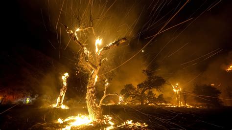 Southern California wildfires grow with little containment