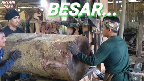 Amazing Sawmill Wood KAYU BESAR JENIS MERAH SIMAK TERUS GAESS YouTube