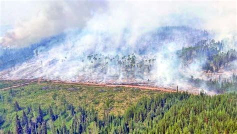 Canada Wildfires Have Burned Over 10 Mn Hectares This Year The Asian