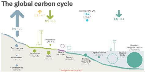 El Informe Global Carbon Budget 2022 Revela Las últimas Tendencias En