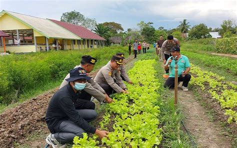 Polres Kapuas Bersama SMKN 3 Kembangkan Hortikultura Dan Perikanan