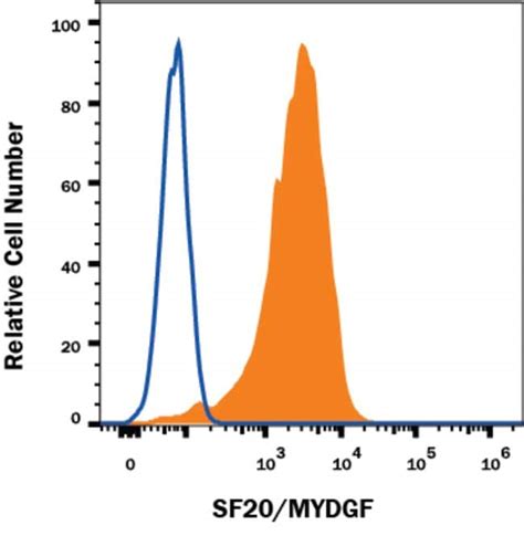 Human Mouse Rat SF20 MYDGF Antibody R D Systems 25 μg Unconjugated