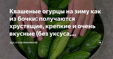 Квашеные огурцы на зиму как из бочки: получаются хрустящие, крепкие и ...