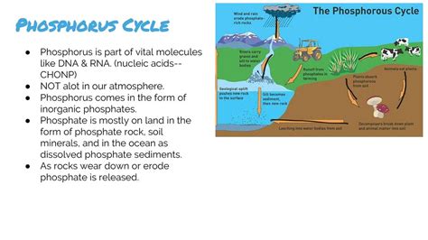 Biosphere Ppt Download