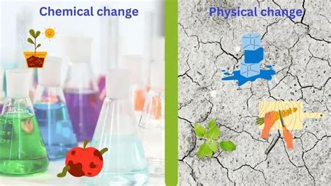 Physical And Chemical Change Study Forum