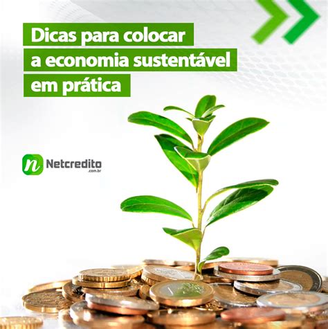 Dicas para colocar a economia sustentável em práticas