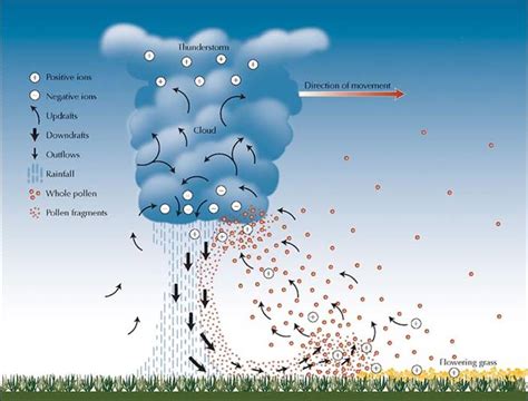 thunderstorm asthma - the moxa punk