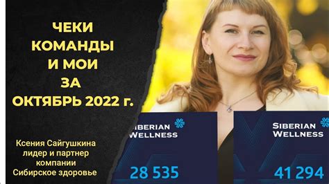 ЧЕКИ КОМАНДЫ И МОИ ЧЕКИ ЗА ОКТЯБРЬ И НОЯБРЬ 2022 г. КОМПАНИЯ СИБИРСКОЕ ...