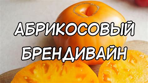Больше вкусных сортов! Томат Абрикосовый Брендивайн - YouTube