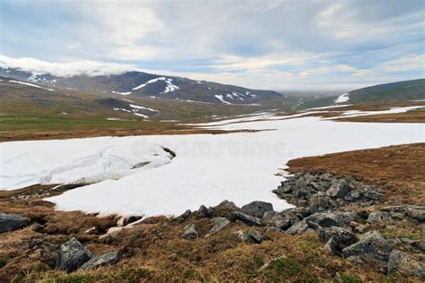 Summer Arctic Landscape Snow In July In The Tundra In The Far North Of