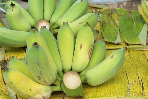 Nutrition Information for Baby Bananas | Healthfully