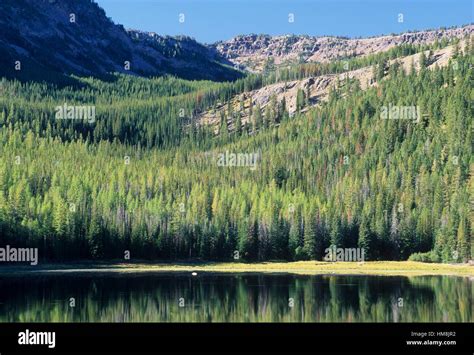 Malheur National Forest Hi Res Stock Photography And Images Alamy