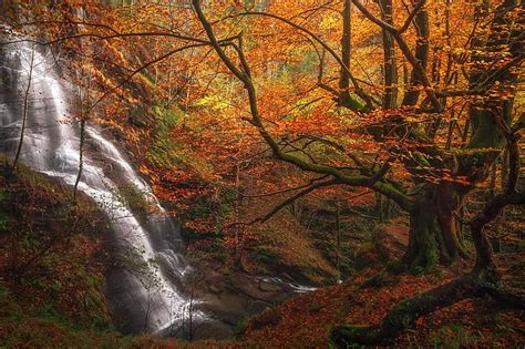 Oto O Bosque Rboles Cascada Espa A Cascada Vizcaya Pa S Vasco